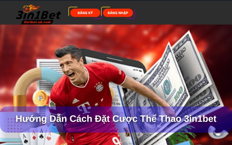 Cá cược thể thao 3in1bet và hướng dẫn cách tham gia